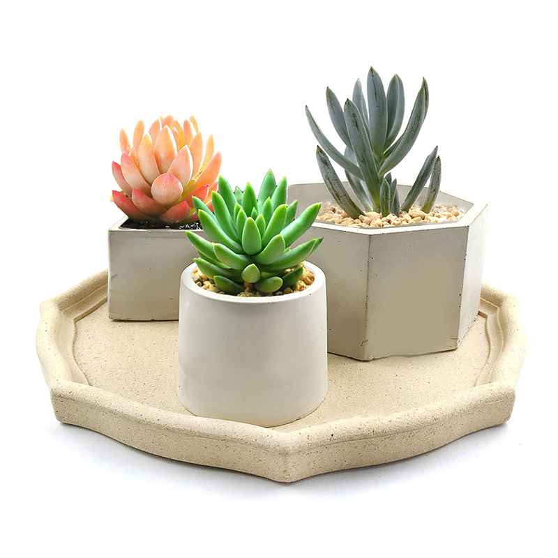 Molde de silicona para maceta  - Potsticker Mold reseña y precio