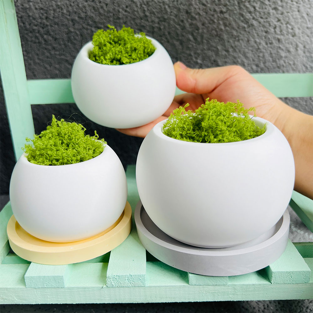 Molde esférico de silicona par - Potsticker Mold reseña y precio